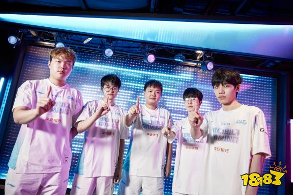 借此机会组 借此机会组