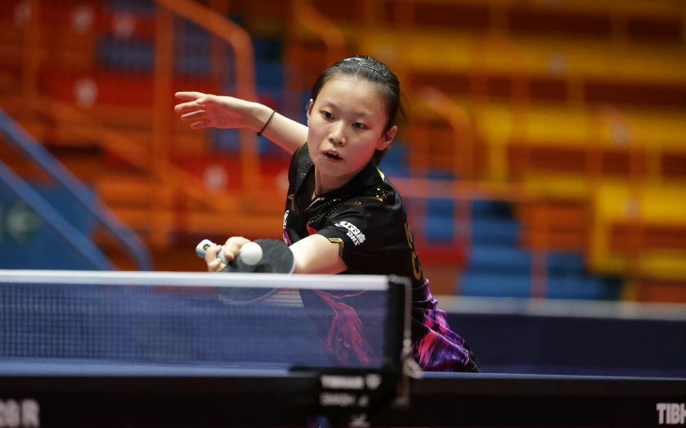 更是法国文 更是法国文