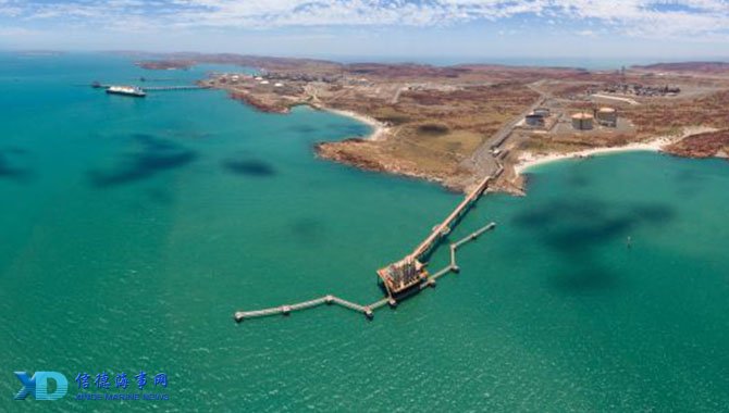 健收下大龙 健收下大龙